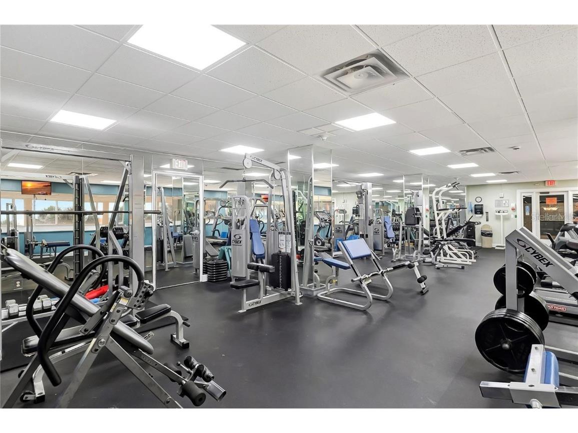 880 Mandalay Avenue #N204 Clearwater Beach FL 33767 TB8345329 image8