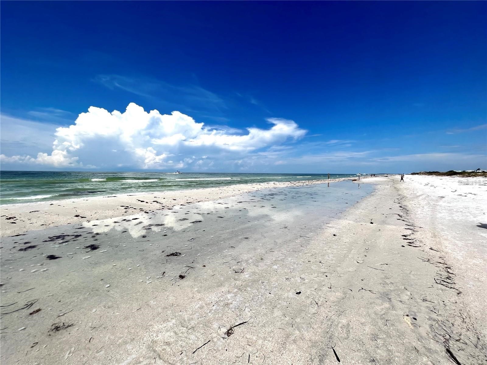 880 Mandalay Avenue #N414 Clearwater Beach FL 33767 - GULF OF MEXICO/GULF OF AMERICA TB8489125 image81