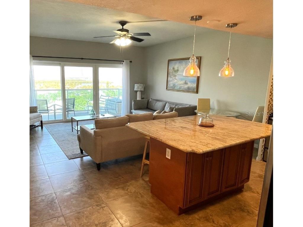 880 Mandalay Avenue #N802 Clearwater Beach FL 33767 - GULF OF MEXICO/GULF OF AMERICA TB8361284 image16