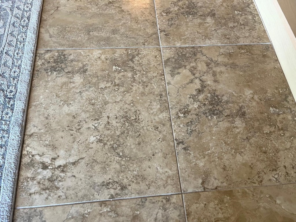 880 Mandalay Avenue #N802 Clearwater Beach FL 33767 - GULF OF MEXICO/GULF OF AMERICA TB8361284 image33