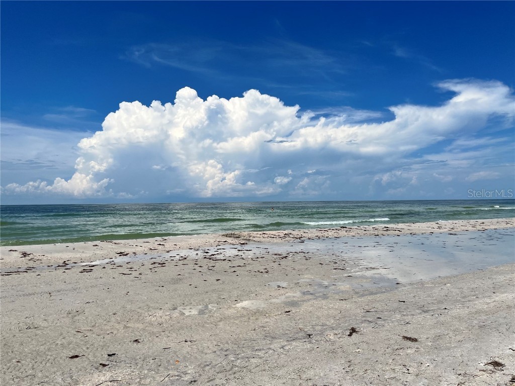 880 Mandalay Avenue #N802 Clearwater Beach FL 33767 - GULF OF MEXICO/GULF OF AMERICA TB8361284 image63