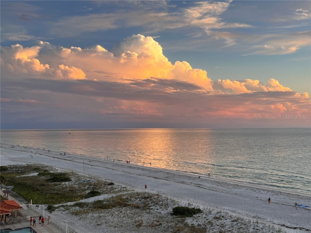 880 Mandalay Avenue #N802 Clearwater Beach FL 33767 - GULF OF MEXICO/GULF OF AMERICA TB8361284 image66