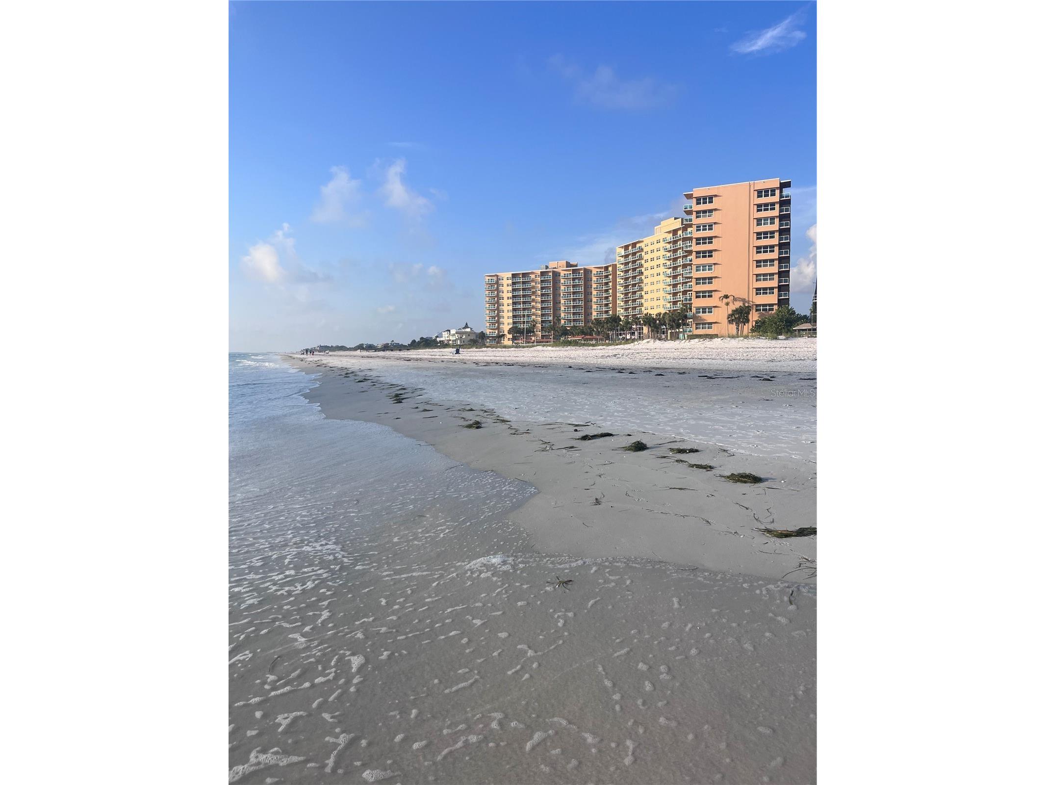 880 Mandalay Avenue #S302 Clearwater Beach FL 33767 TB8485846 image1