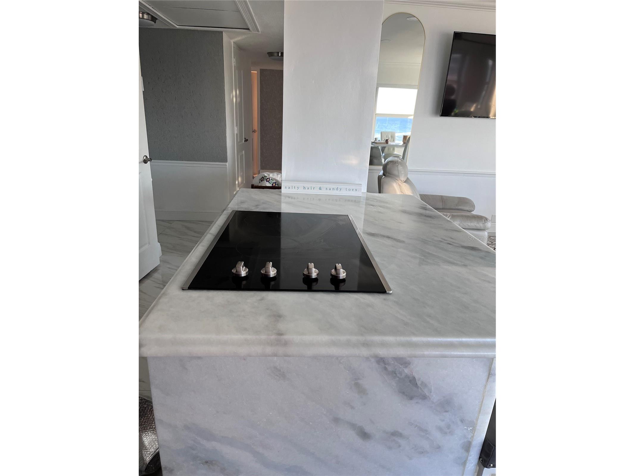 880 Mandalay Avenue #S302 Clearwater Beach FL 33767 TB8485846 image12