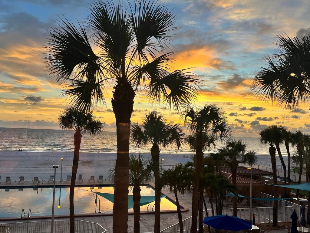 880 Mandalay Avenue #S411 Clearwater Beach FL 33767 - GULF OF MEXICO/GULF OF AMERICA TB8416391 image22