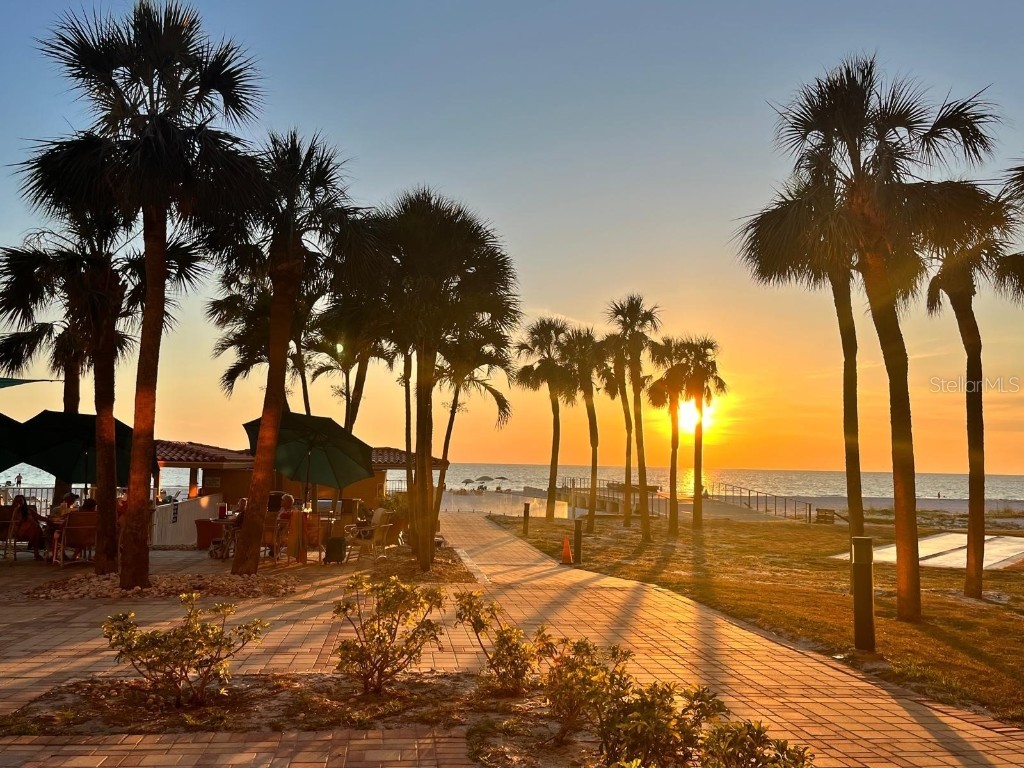 880 Mandalay Avenue #S411 Clearwater Beach FL 33767 - GULF OF MEXICO/GULF OF AMERICA TB8416391 image24