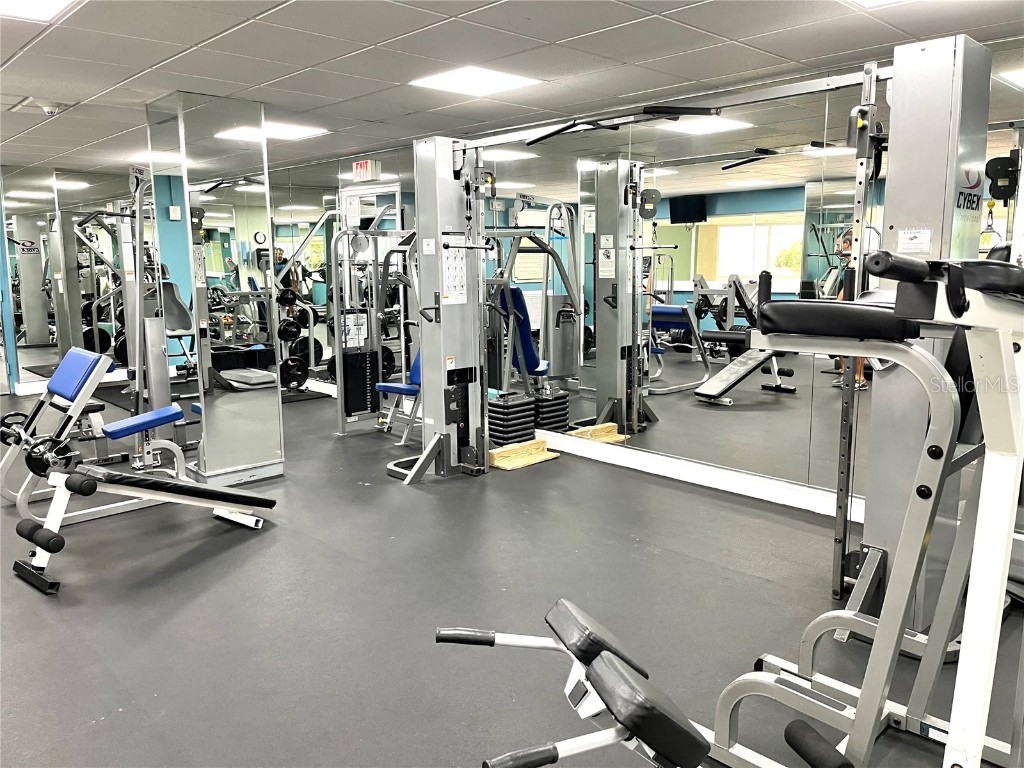 880 Mandalay Avenue #S411 Clearwater Beach FL 33767 - GULF OF MEXICO/GULF OF AMERICA TB8416391 image25