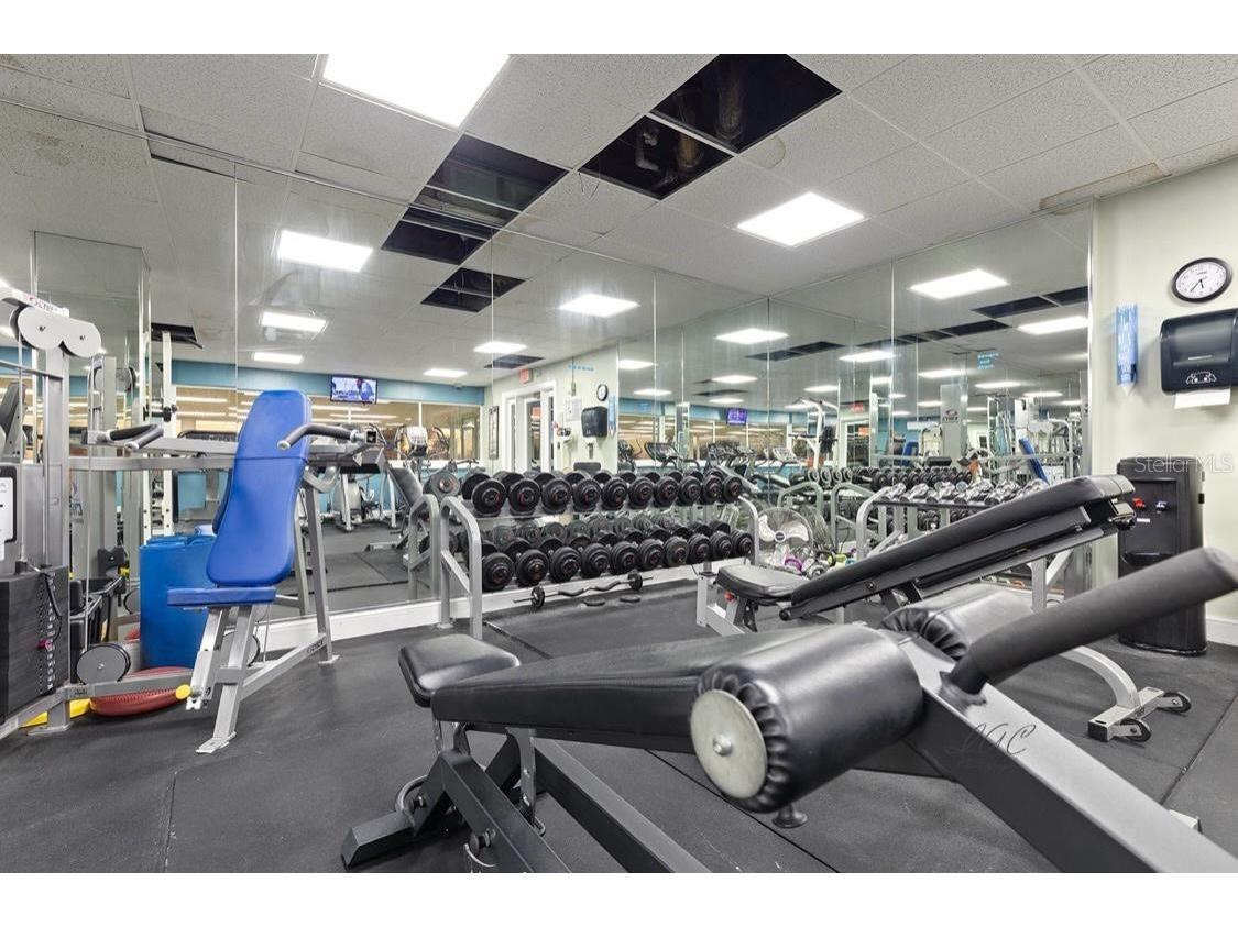 880 Mandalay Avenue #S411 Clearwater Beach FL 33767 - GULF OF MEXICO/GULF OF AMERICA TB8416391 image26