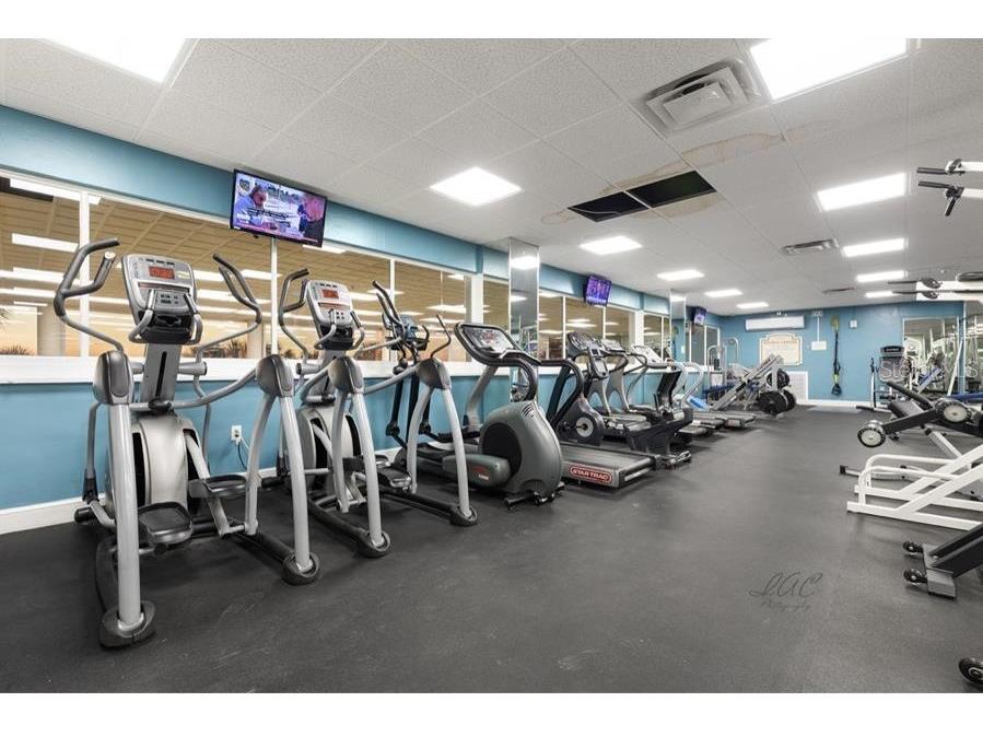 880 Mandalay Avenue #S411 Clearwater Beach FL 33767 - GULF OF MEXICO/GULF OF AMERICA TB8416391 image27