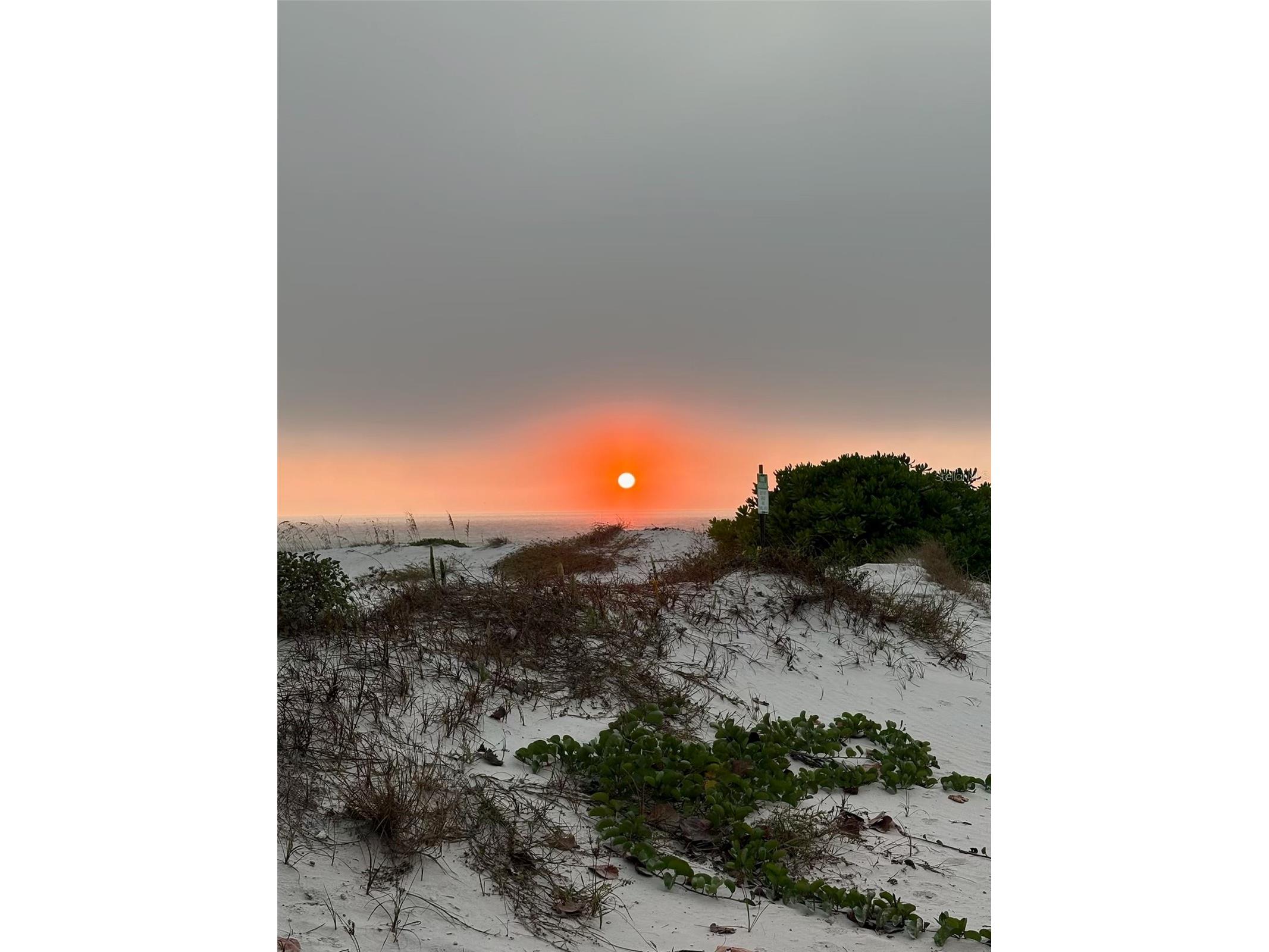 880 Mandalay Avenue #S702 Clearwater Beach FL 33767 - GULF OF MEXICO INTERCOASTAL TB8464148 image34