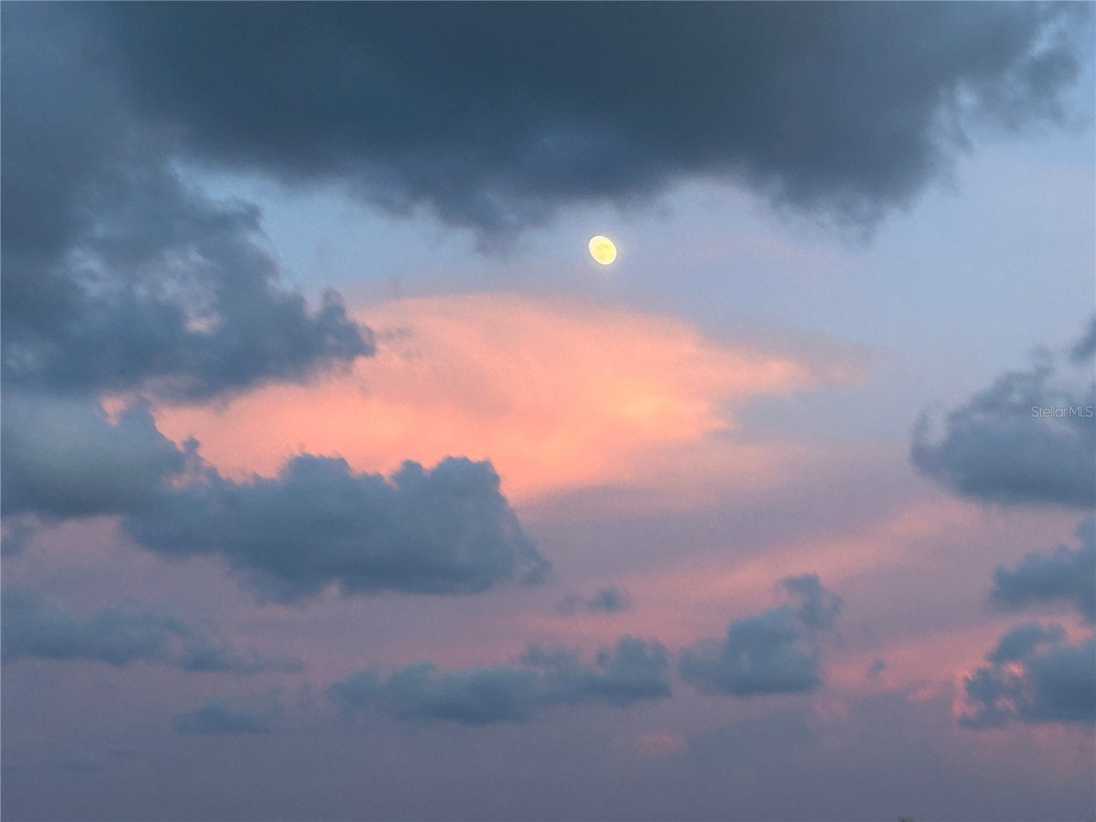 880 Mandalay Avenue #S702 Clearwater Beach FL 33767 - GULF OF MEXICO INTERCOASTAL TB8464148 image36