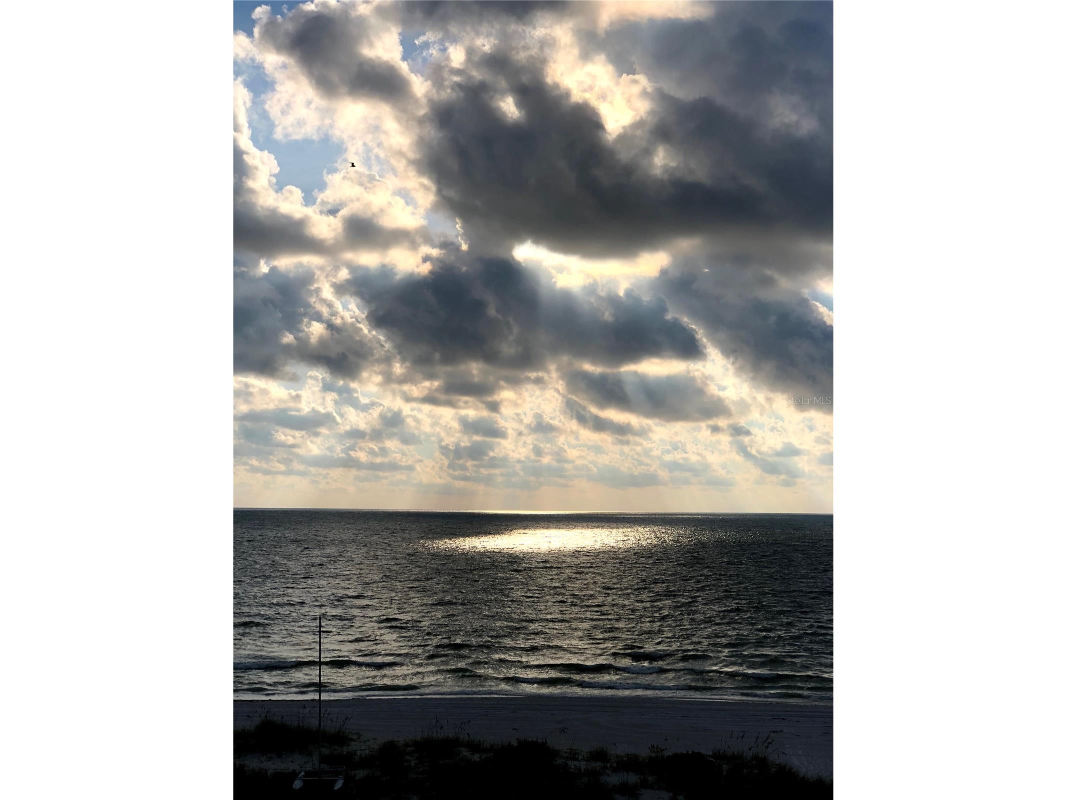 880 Mandalay Avenue #S702 Clearwater Beach FL 33767 - GULF OF MEXICO INTERCOASTAL TB8464148 image40