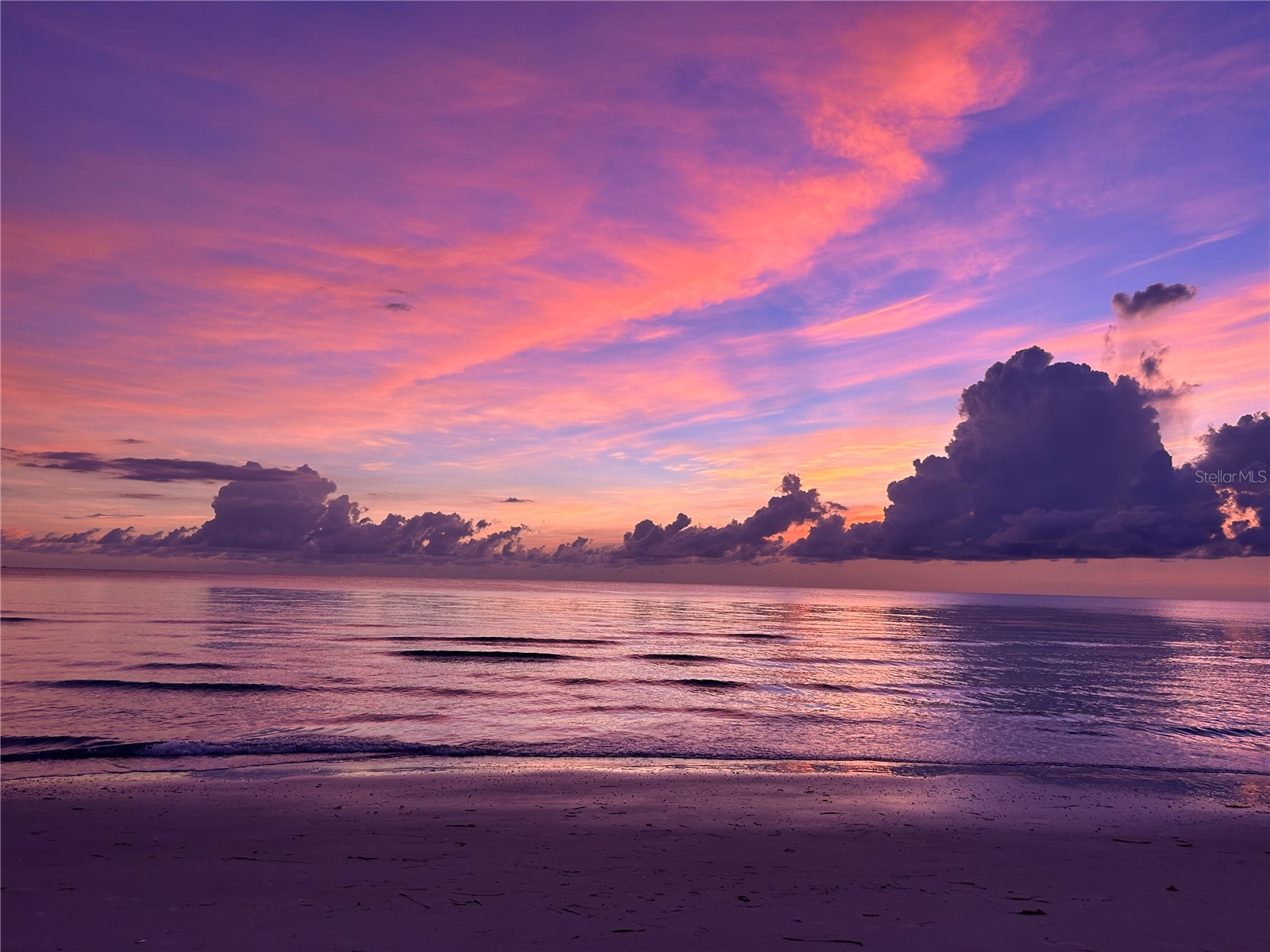 880 Mandalay Avenue #S702 Clearwater Beach FL 33767 - GULF OF MEXICO INTERCOASTAL TB8464148 image42