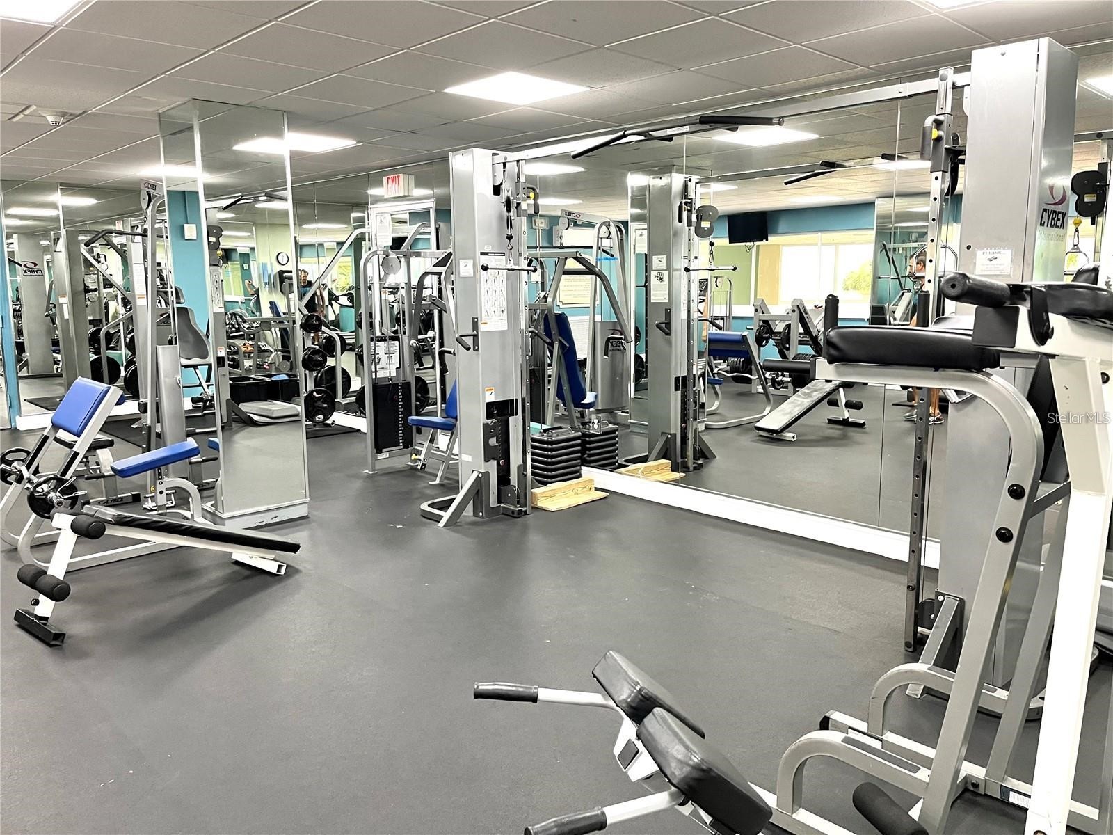 880 Mandalay Avenue #S806 Clearwater Beach FL 33767 - GULF OF MEXICO/GULF OF AMERICA TB8460088 image35