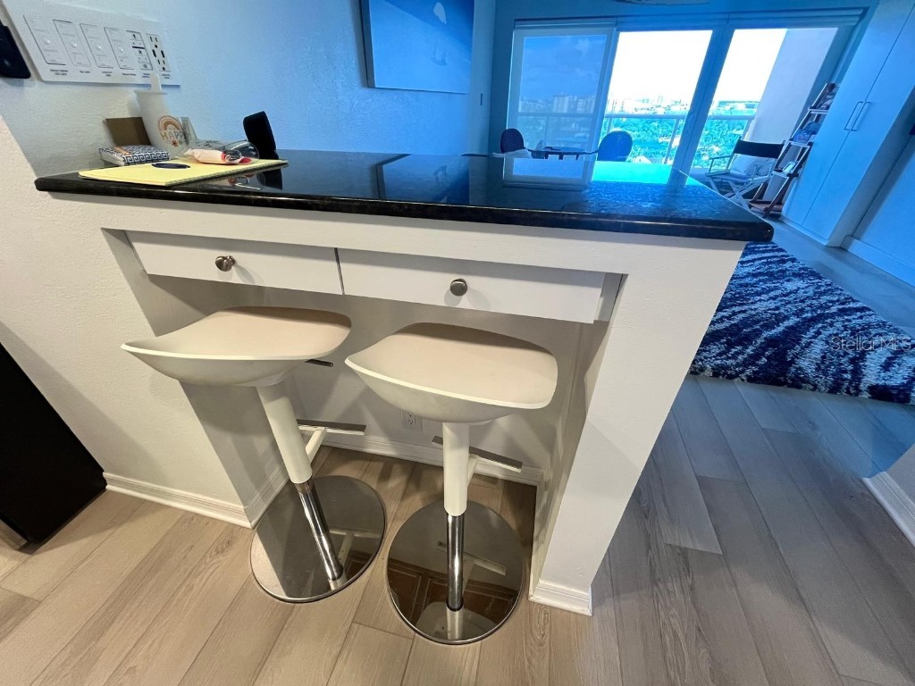 880 Mandalay Avenue #S904 Clearwater Beach FL 33767 - GULF OF MEXICO/GULF OF AMERICA TB8417441 image13