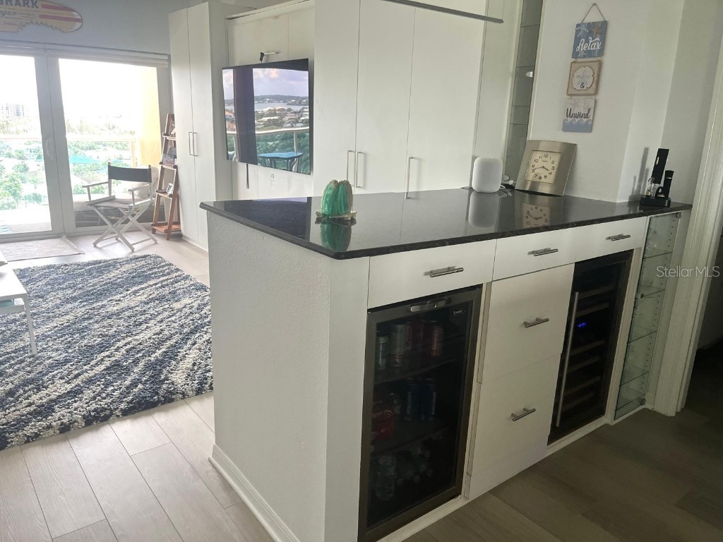 880 Mandalay Avenue #S904 Clearwater Beach FL 33767 - GULF OF MEXICO/GULF OF AMERICA TB8417441 image14