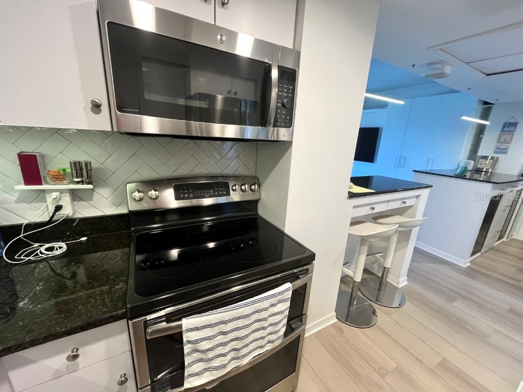 880 Mandalay Avenue #S904 Clearwater Beach FL 33767 - GULF OF MEXICO/GULF OF AMERICA TB8417441 image19