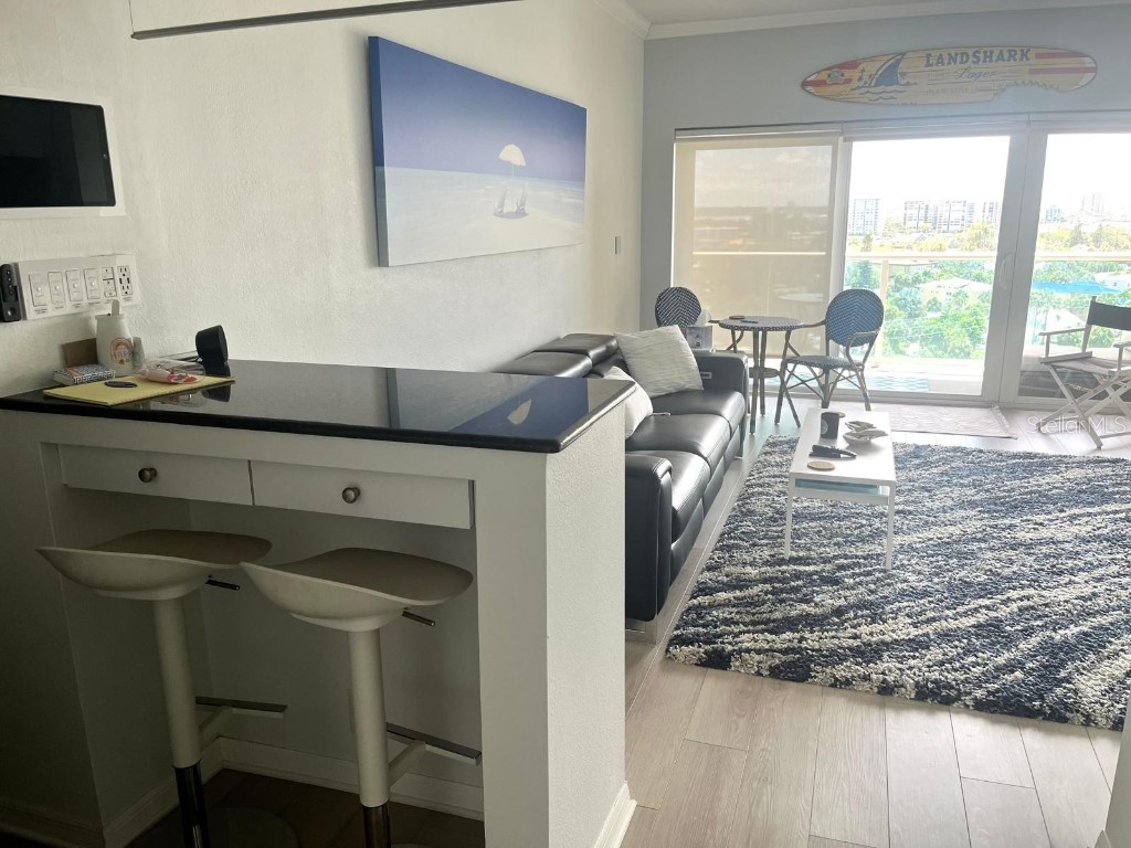 880 Mandalay Avenue #S904 Clearwater Beach FL 33767 - GULF OF MEXICO/GULF OF AMERICA TB8417441 image3