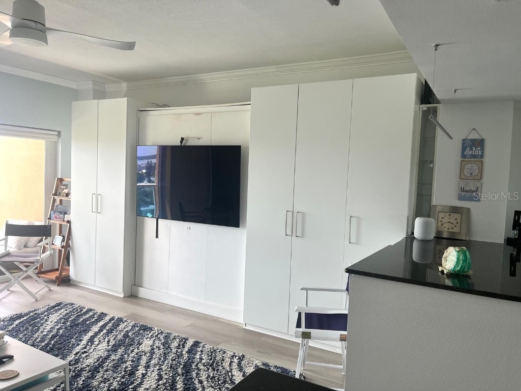 880 Mandalay Avenue #S904 Clearwater Beach FL 33767 - GULF OF MEXICO/GULF OF AMERICA TB8417441 image7