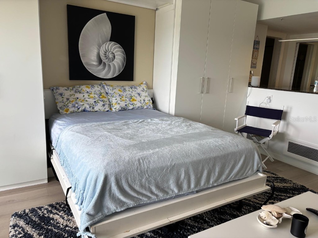 880 Mandalay Avenue #S904 Clearwater Beach FL 33767 - GULF OF MEXICO/GULF OF AMERICA TB8417441 image9