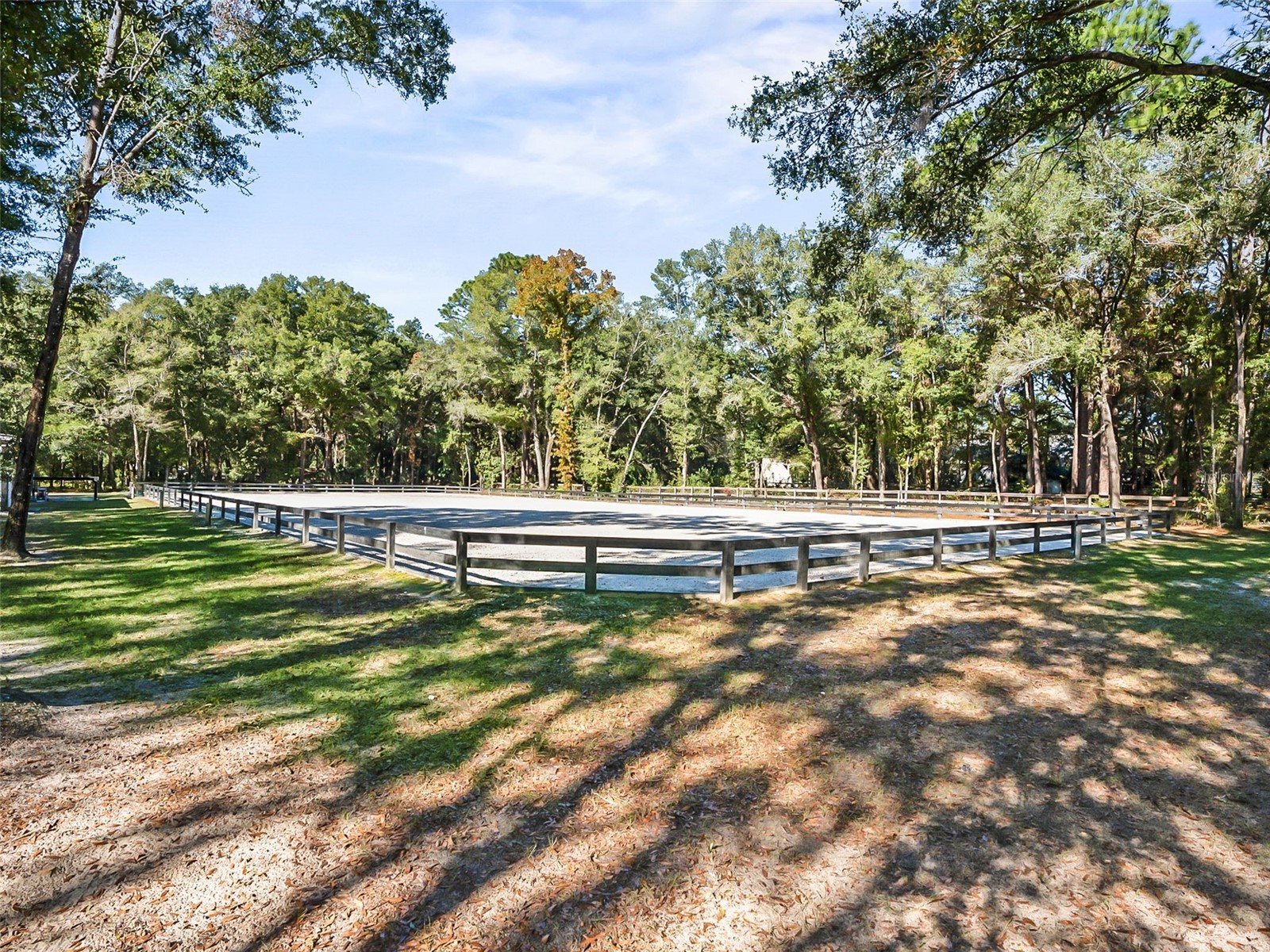 880 NW 70th Terrace Ocala FL 34482 OM715958 image2