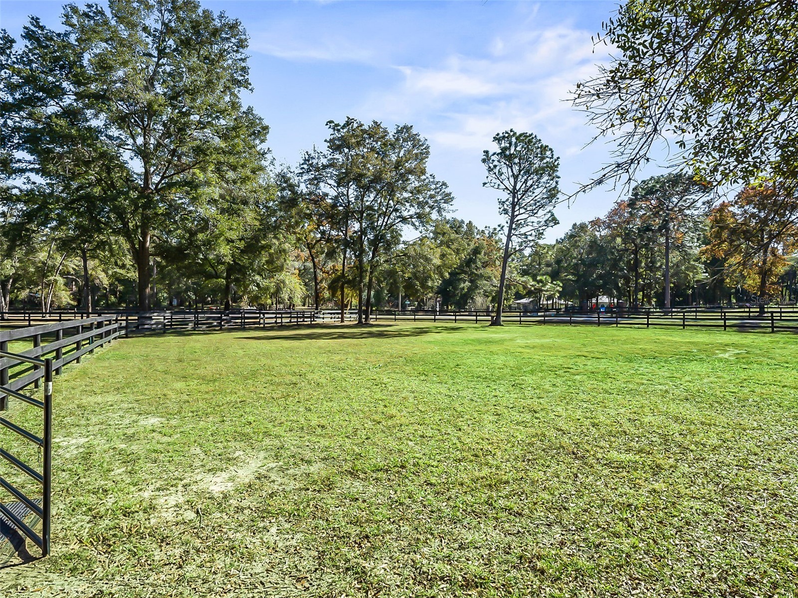 880 NW 70th Terrace Ocala FL 34482 OM715958 image30