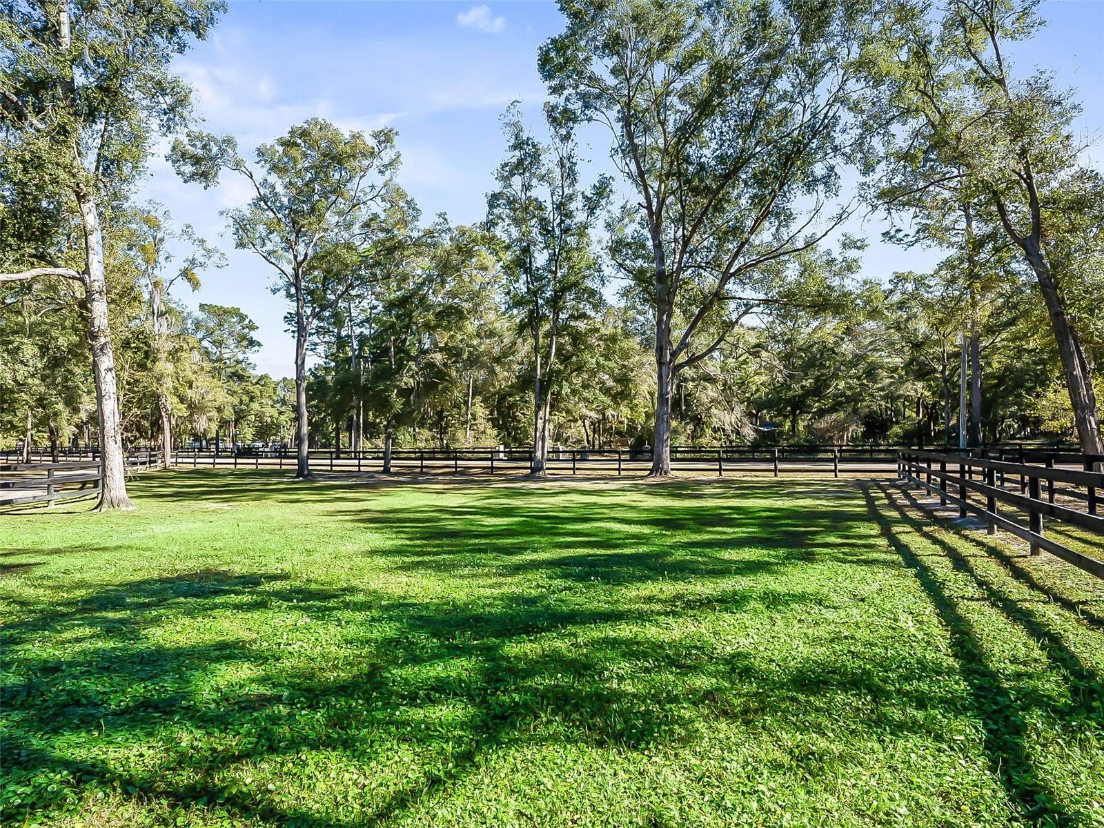 880 NW 70th Terrace Ocala FL 34482 OM715958 image31