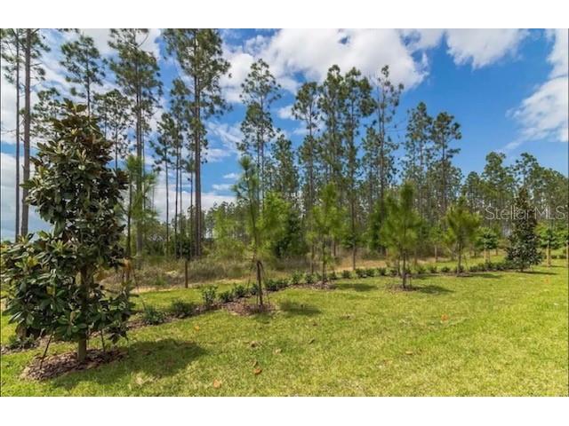 880 Pebble Beach Drive Davenport FL 33896 O6330010 image32