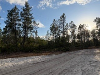 880 Still Road Pierson FL 32180 V4946645 image2
