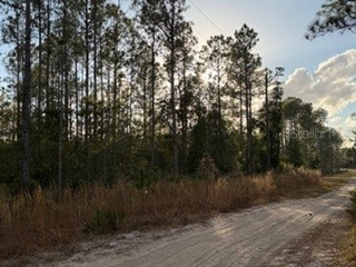 880 Still Road Pierson FL 32180 V4946645 image3
