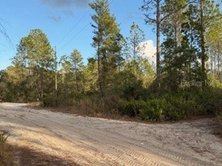 880 Still Road Pierson FL 32180 V4946645 image4