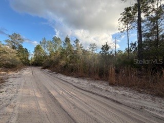 880 Still Road Pierson FL 32180 V4946645 image5