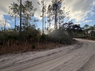 880 Still Road Pierson FL 32180 V4946645 image6