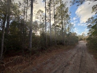 880 Still Road Pierson FL 32180 V4946645 image7
