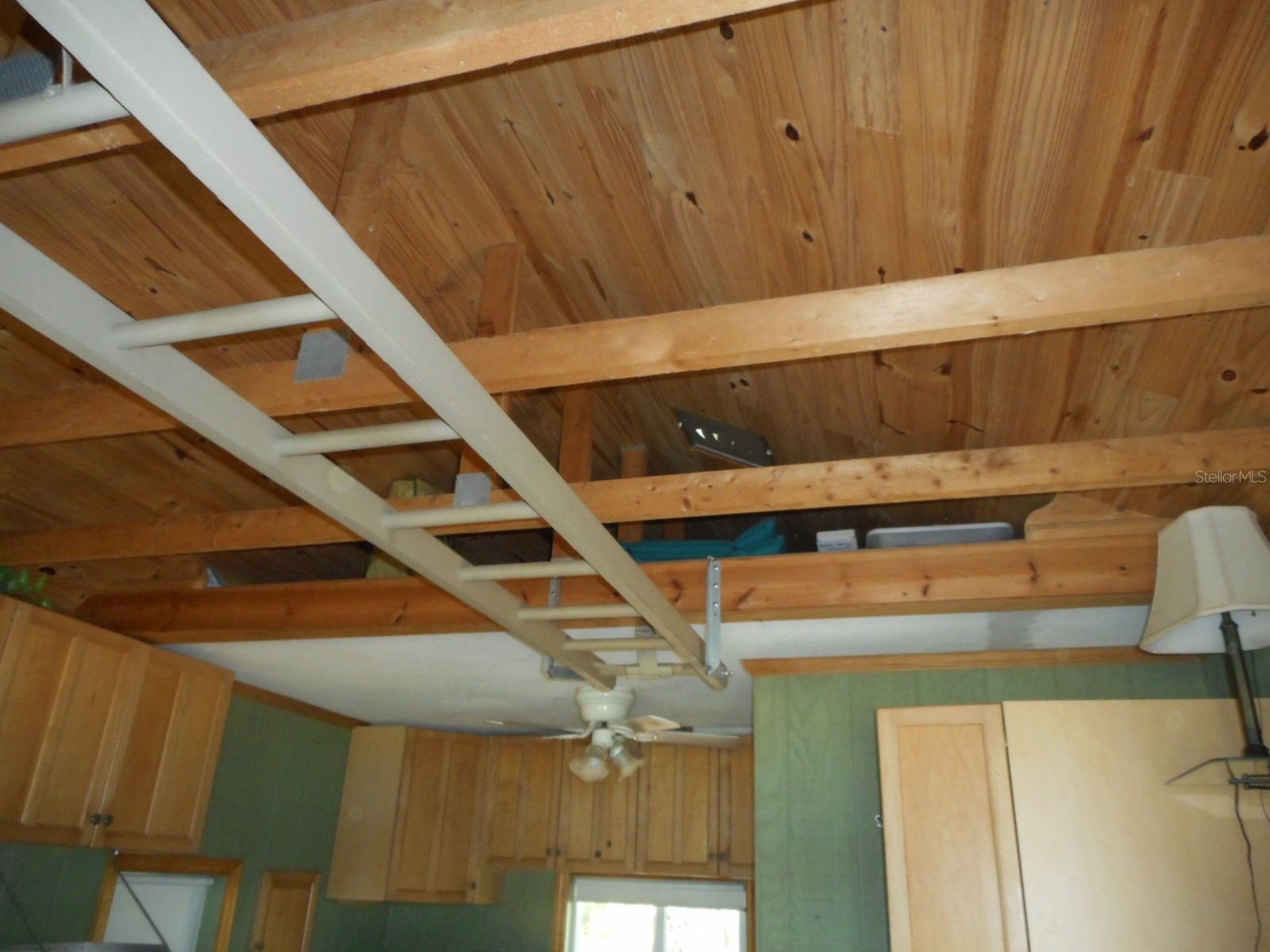 880 SW Shorewood Drive Dunnellon FL 34431 OM721265 image6