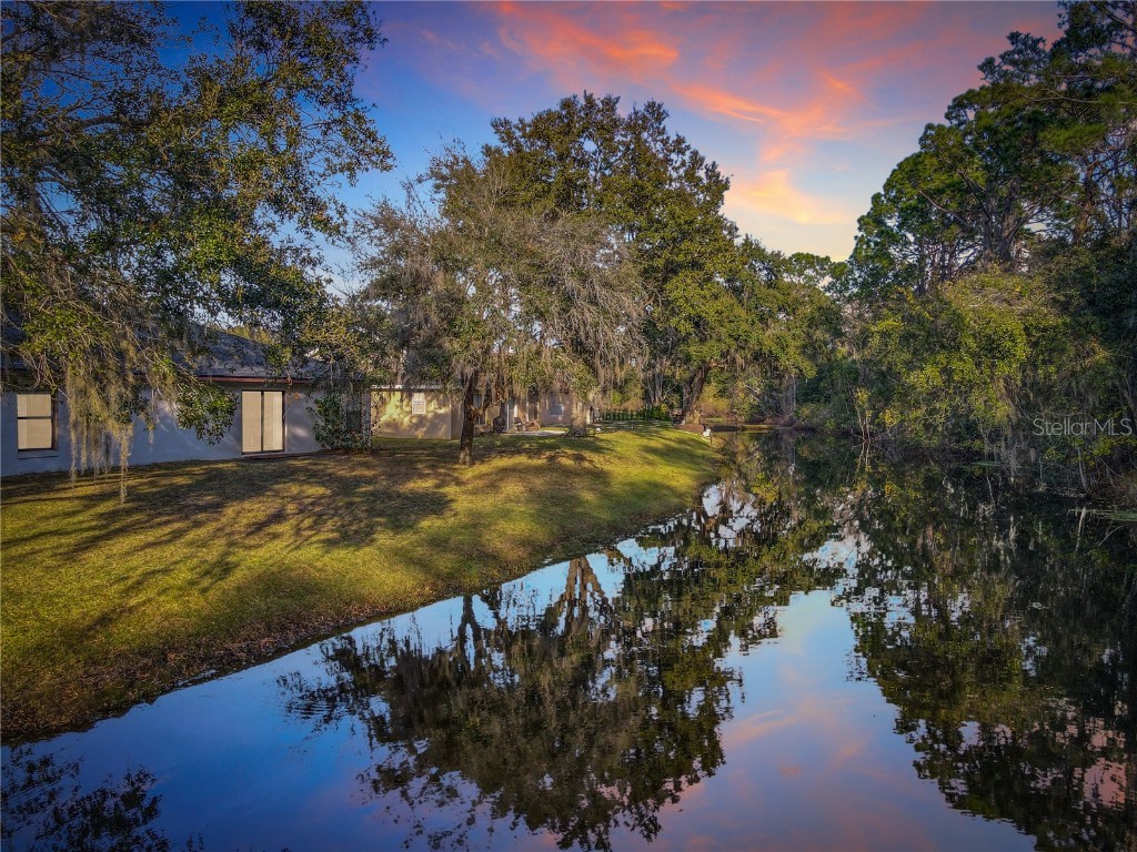 880 Vindale Road Tavares FL 32778 O6364704 image3