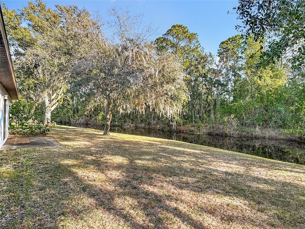 880 Vindale Road Tavares FL 32778 O6364704 image34