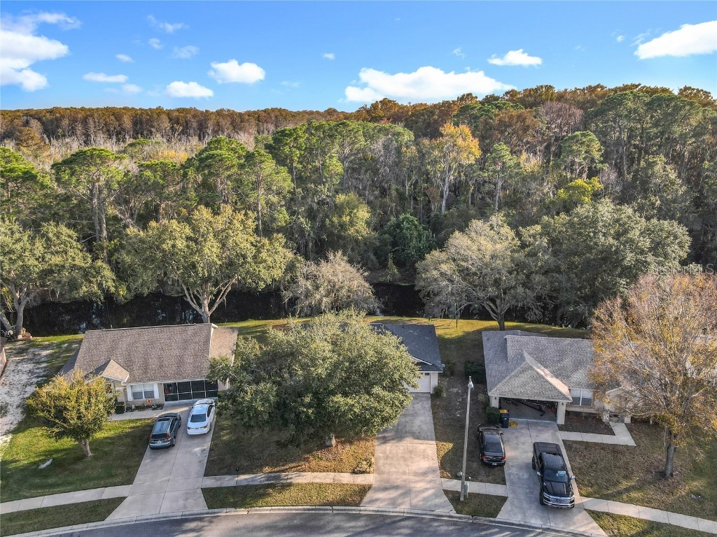 880 Vindale Road Tavares FL 32778 O6364704 image36