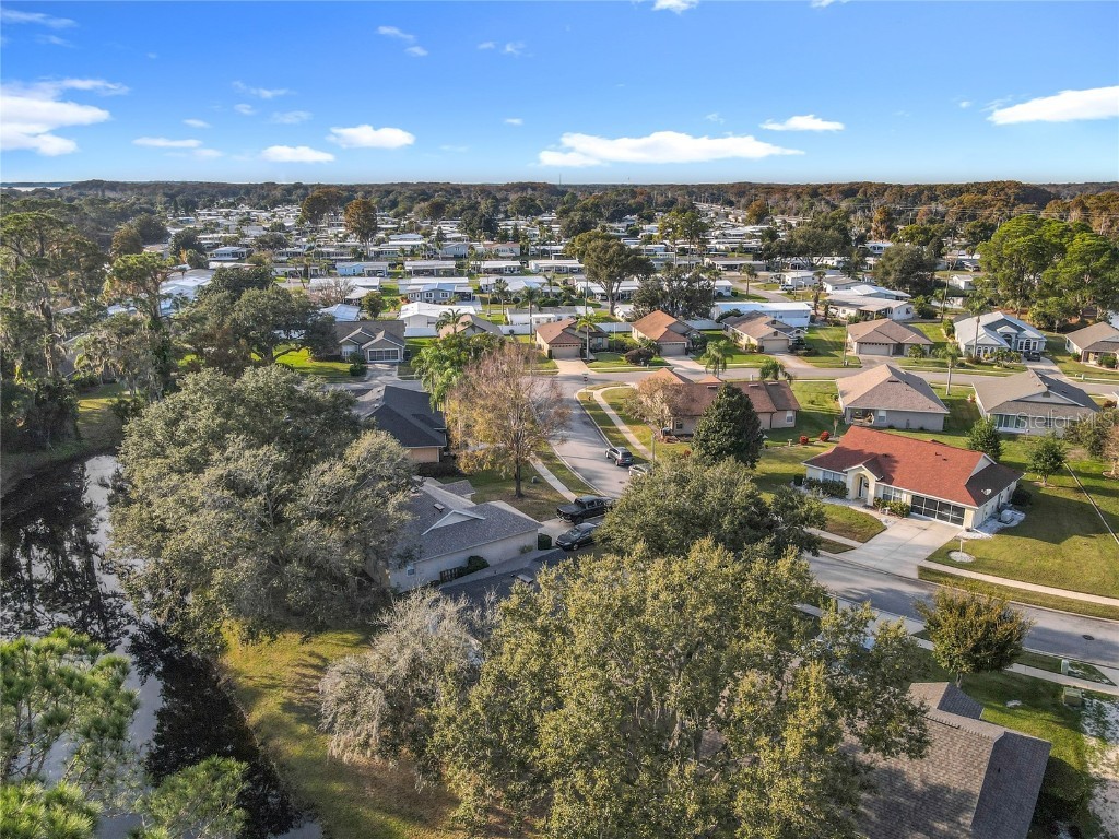 880 Vindale Road Tavares FL 32778 O6364704 image38