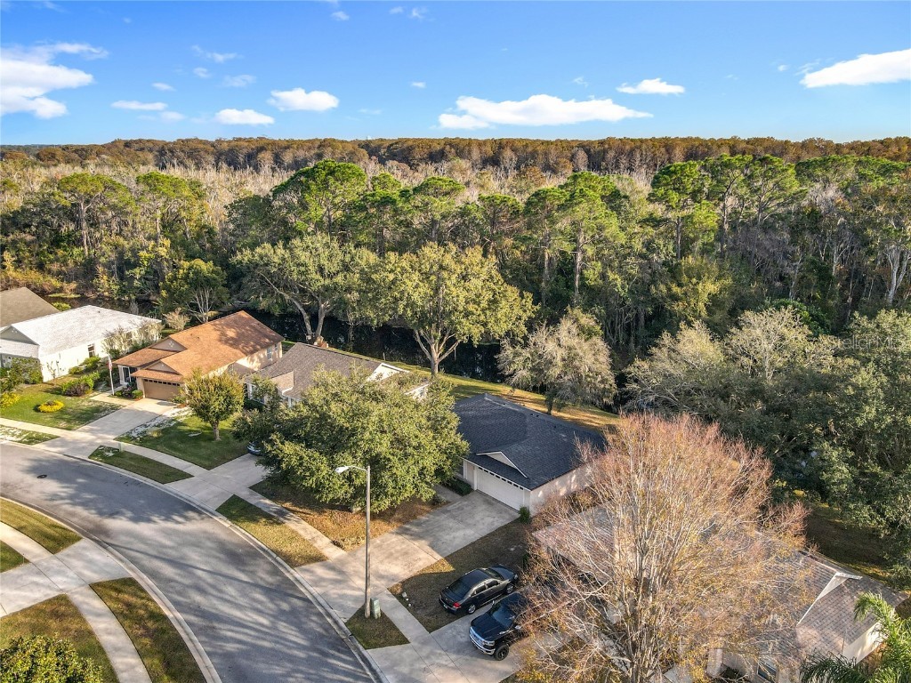 880 Vindale Road Tavares FL 32778 O6364704 image39