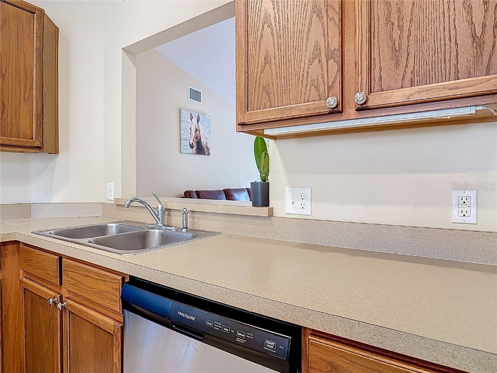 880 Vindale Road Tavares FL 32778 O6364704 image9