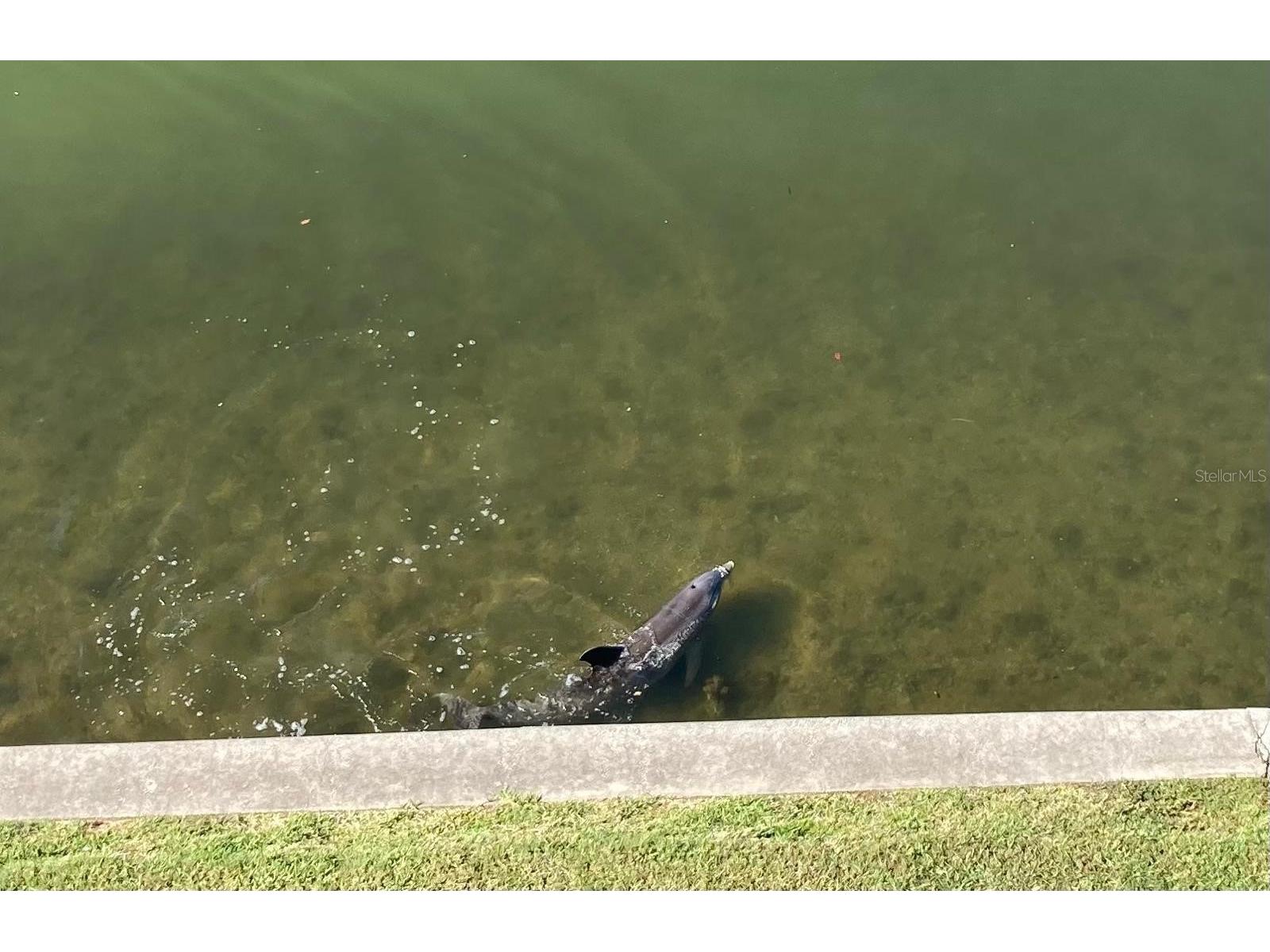 8800 Bay Pines Boulevard #320 Saint Petersburg FL 33709 TB8495768 image28