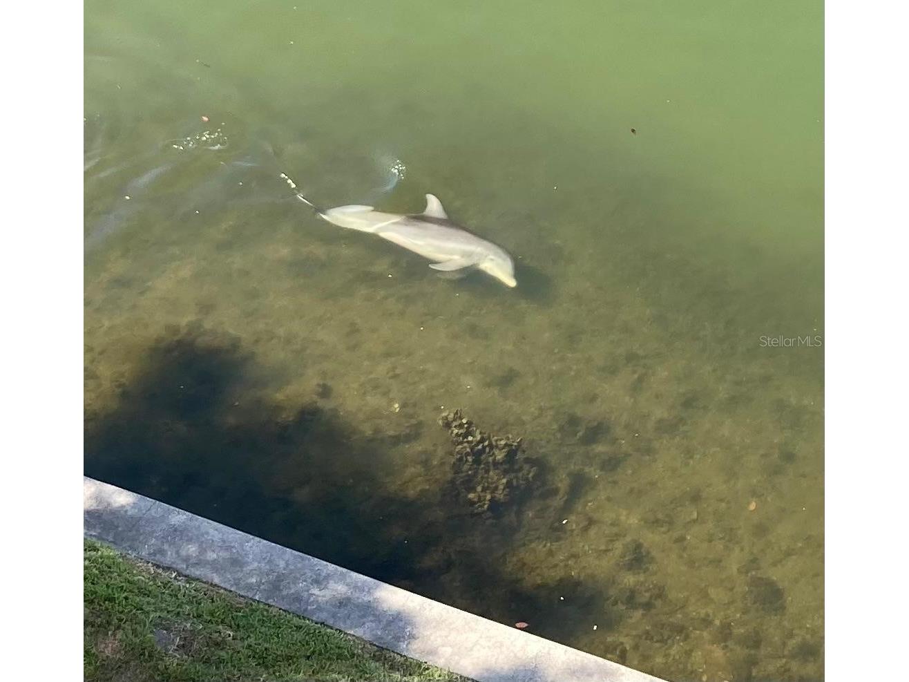 8800 Bay Pines Boulevard #320 Saint Petersburg FL 33709 TB8495768 image29