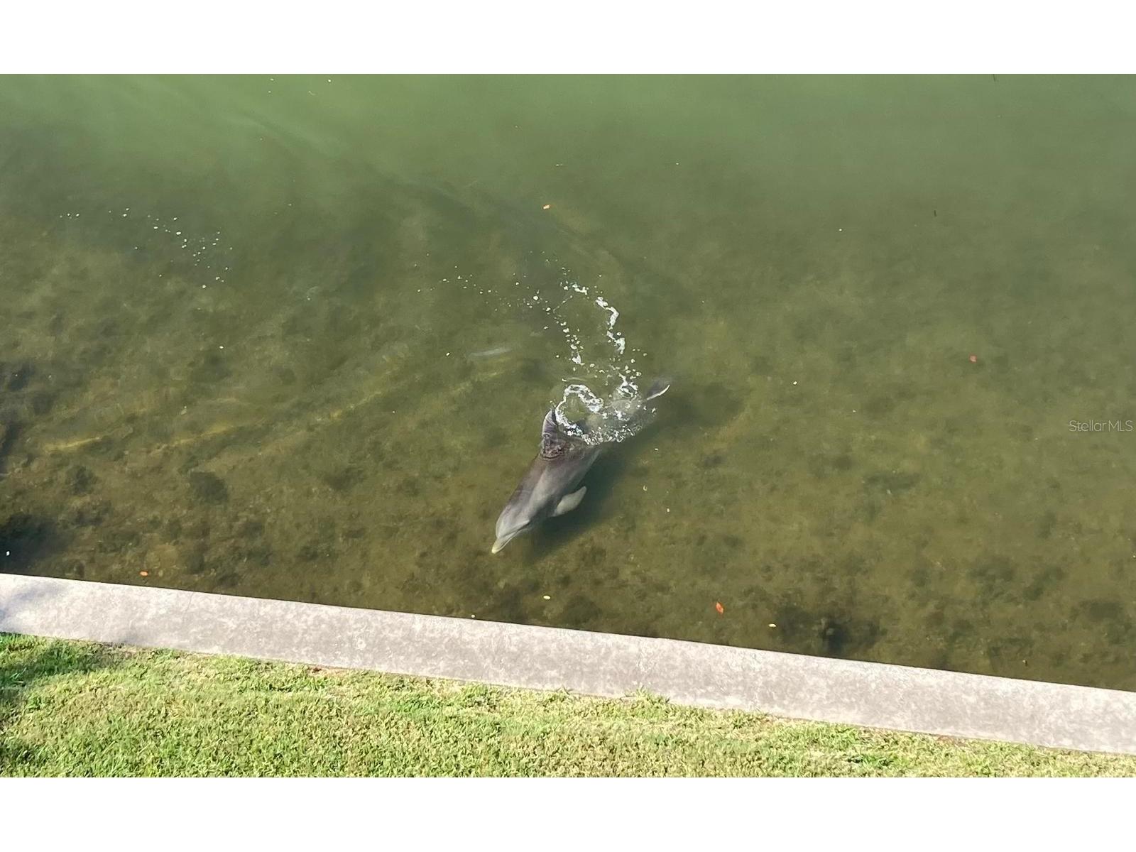 8800 Bay Pines Boulevard #320 Saint Petersburg FL 33709 TB8495768 image6