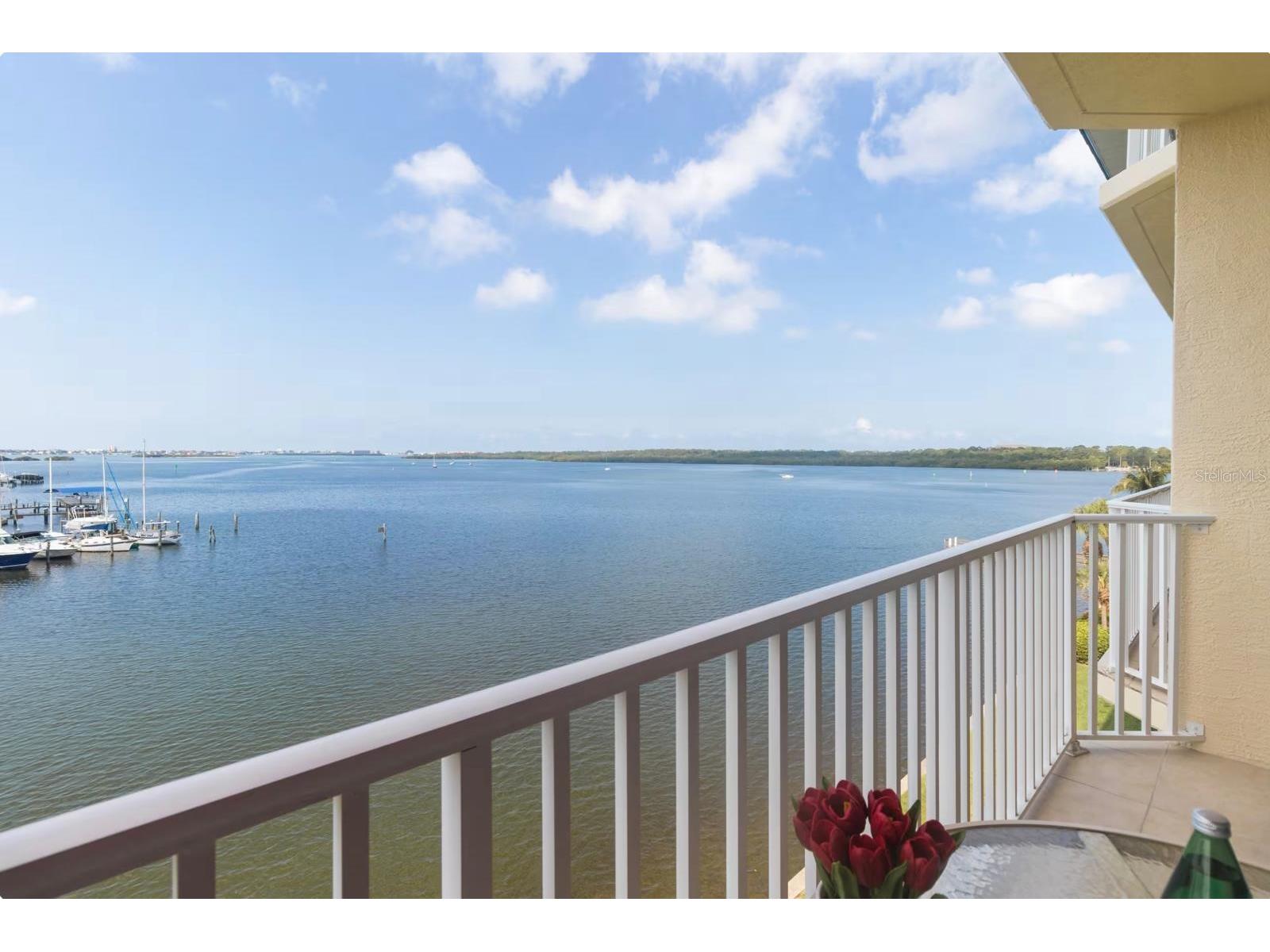 8800 Bay Pines Boulevard #320 Saint Petersburg FL 33709 TB8495768 image8