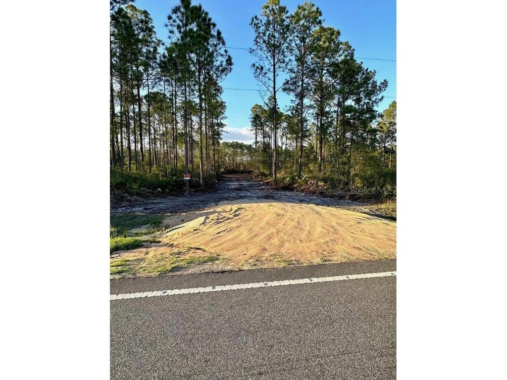 8800 E Hwy 318 Citra FL 32113 T3432856 image1