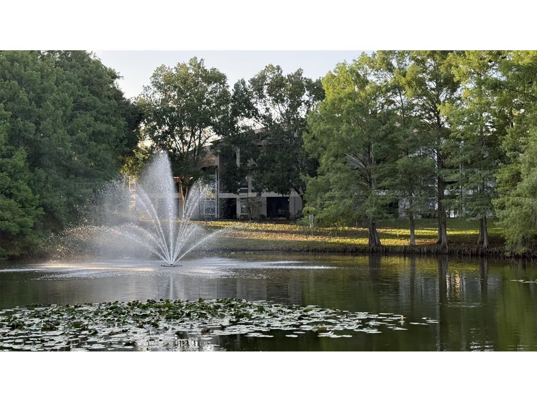 8800 Latrec Avenue #9305 Orlando FL 32819 O6414695 image29