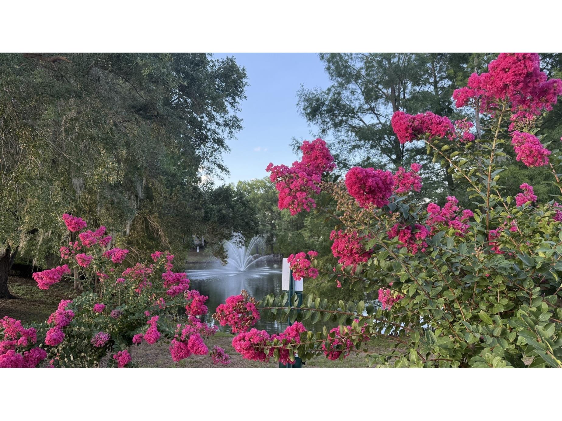 8800 Latrec Avenue #9305 Orlando FL 32819 O6414695 image30