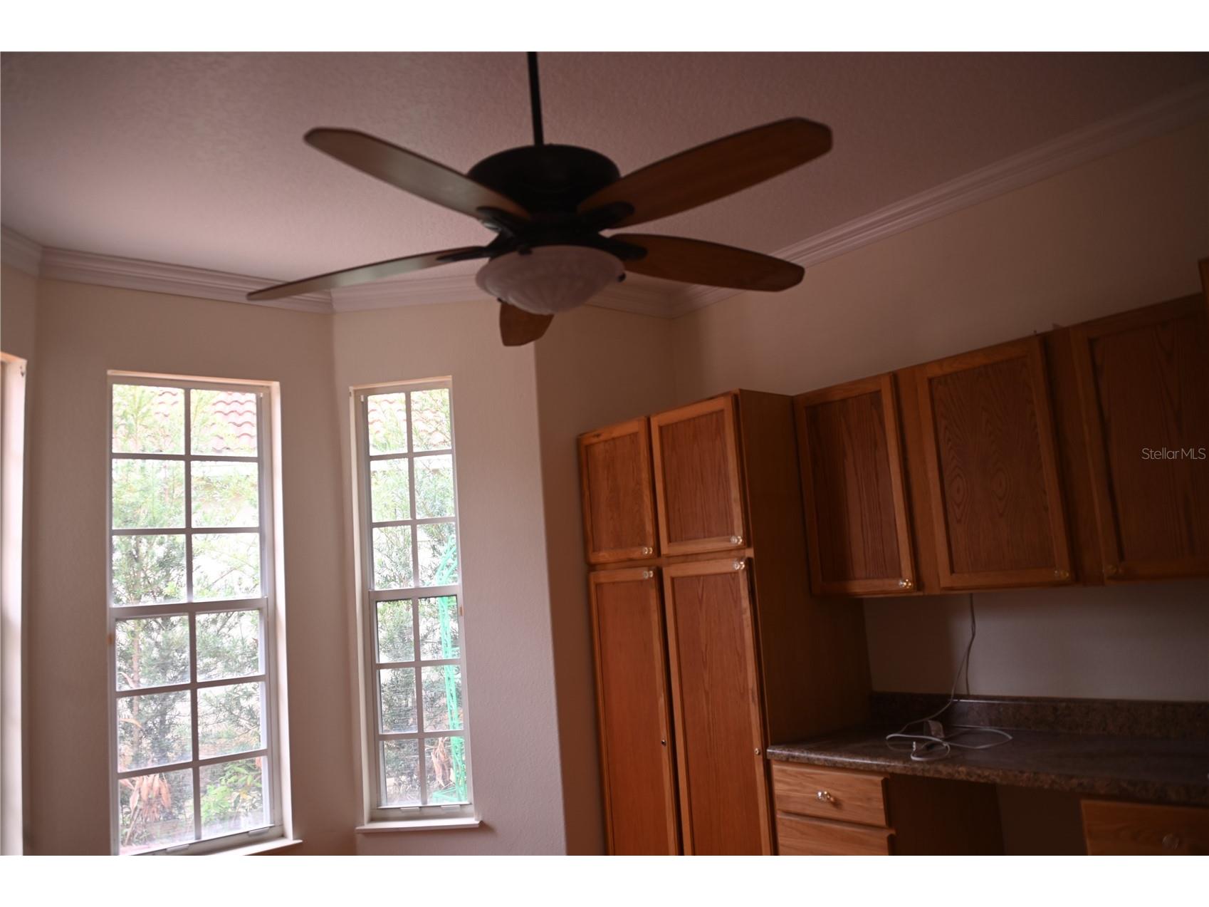 8800 Oak Landings Court Orlando FL 32836 S5146308 image16