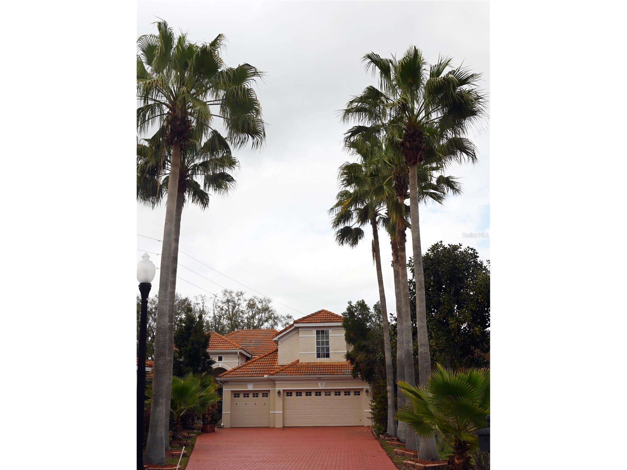8800 Oak Landings Court Orlando FL 32836 S5146308 image2
